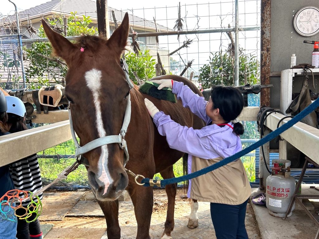 馬のお手入れ